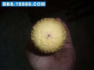 PB010006.JPG