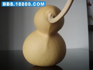 PA200019.JPG