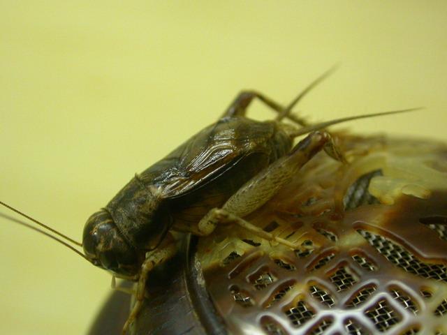 DSCN3556.JPG