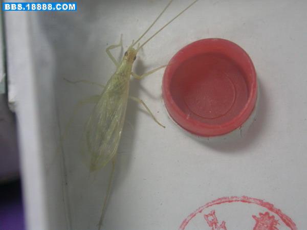 DSCN3122.JPG