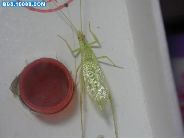 DSCN3125.JPG