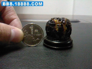SP_A0006.jpg