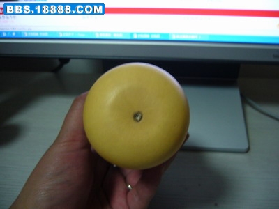 P1020689.JPG