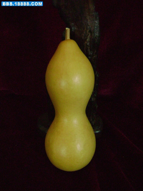 DSC01016.jpg