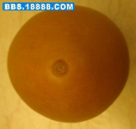 DSC04378a.JPG