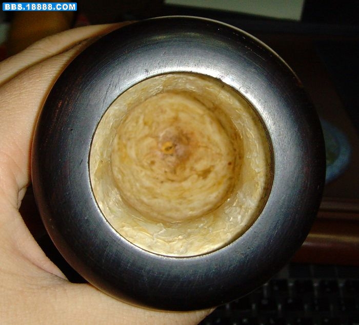SNV37616.JPG