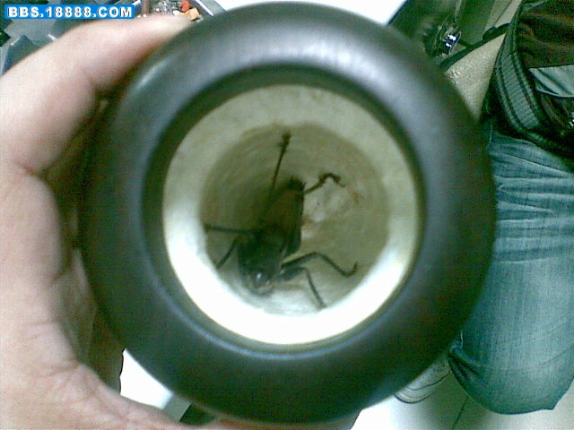20071224(003).jpg