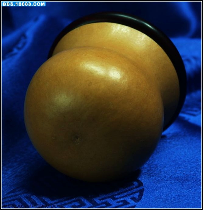 a010.jpg