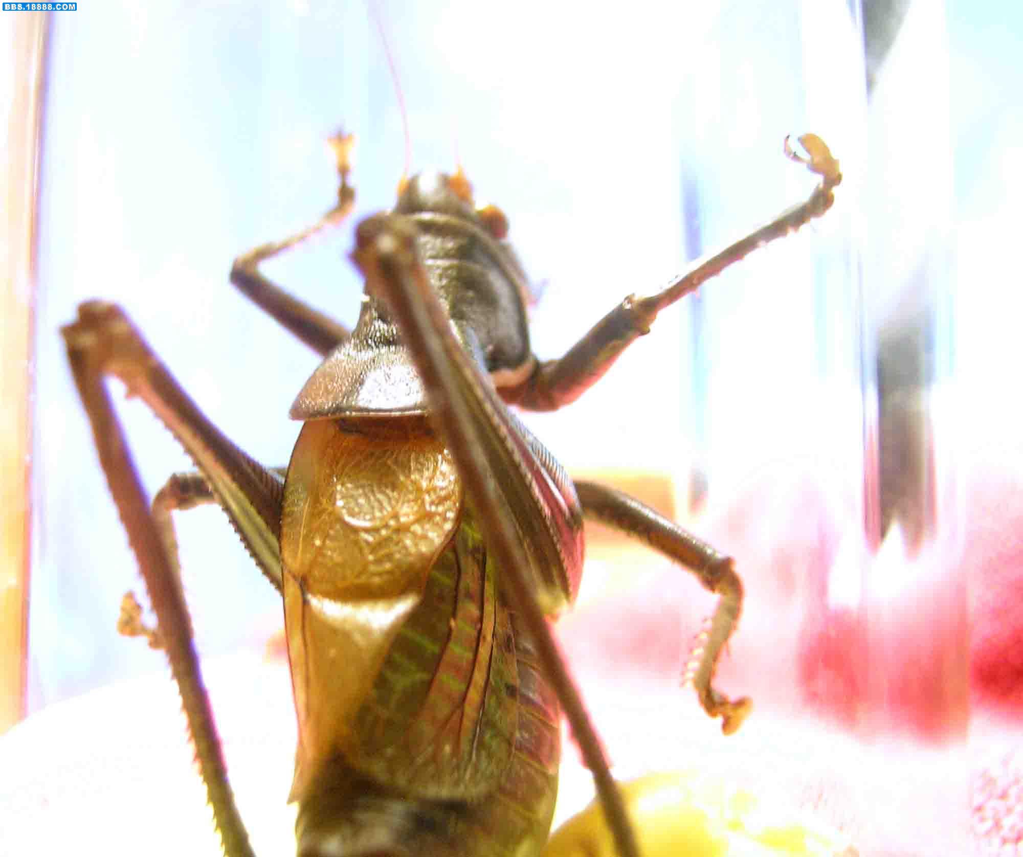 DSCN3041.JPG