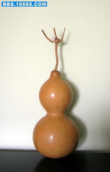 DSCN8219.JPG