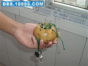 P1010024.JPG