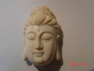 DSC00506.jpg