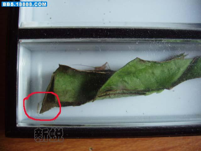 PA231670 拷贝.jpg