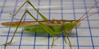 56.jpg