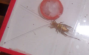2006.8.23 120.jpg