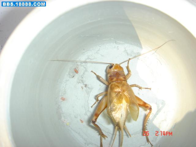 照片 012.jpg