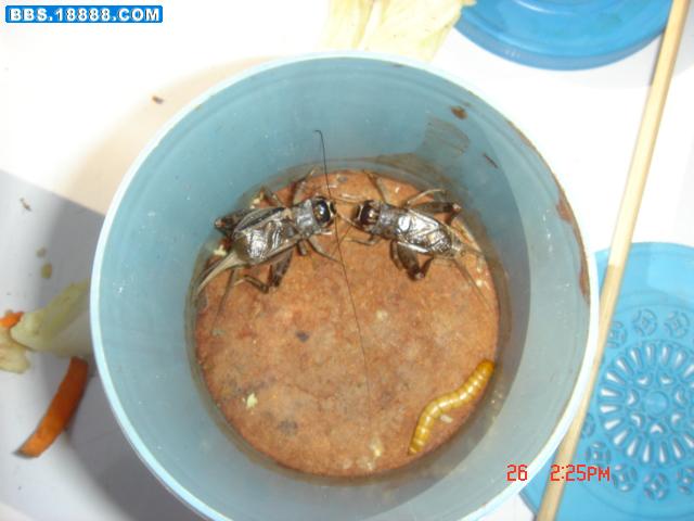 照片 040.jpg