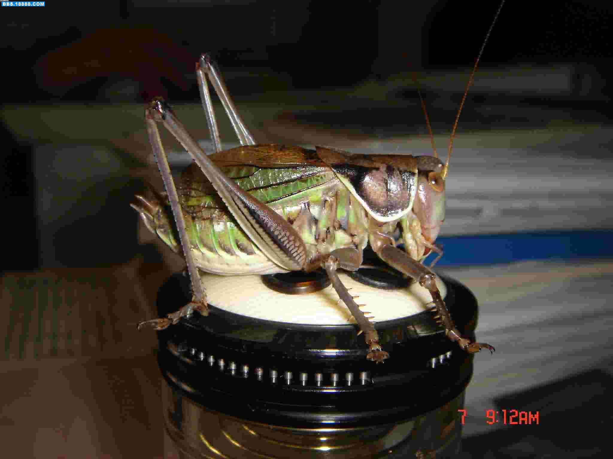 DSC01288.JPG