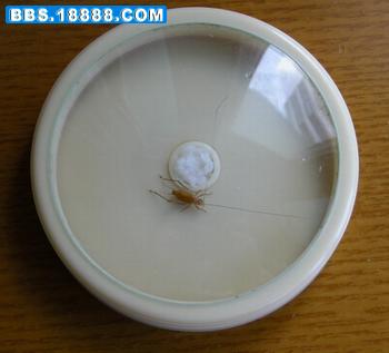 DSCN6560.JPG
