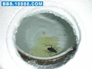 照片 051.jpg
