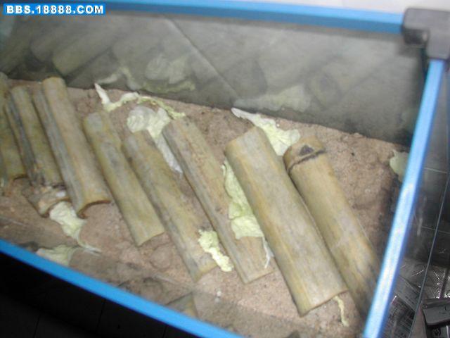 DSCN6012.JPG