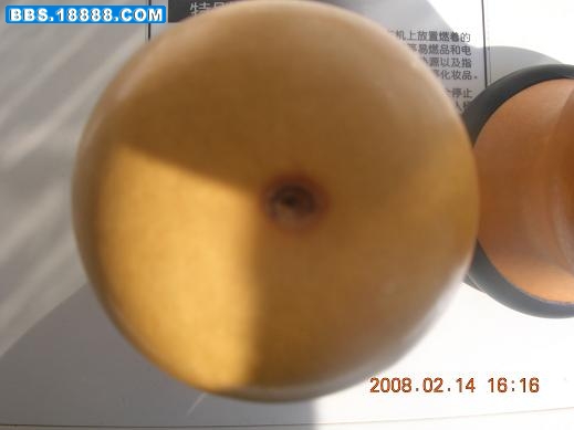 DSCN4334.JPG