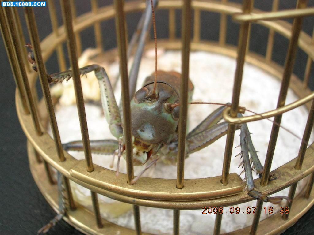 DSCN1008.JPG