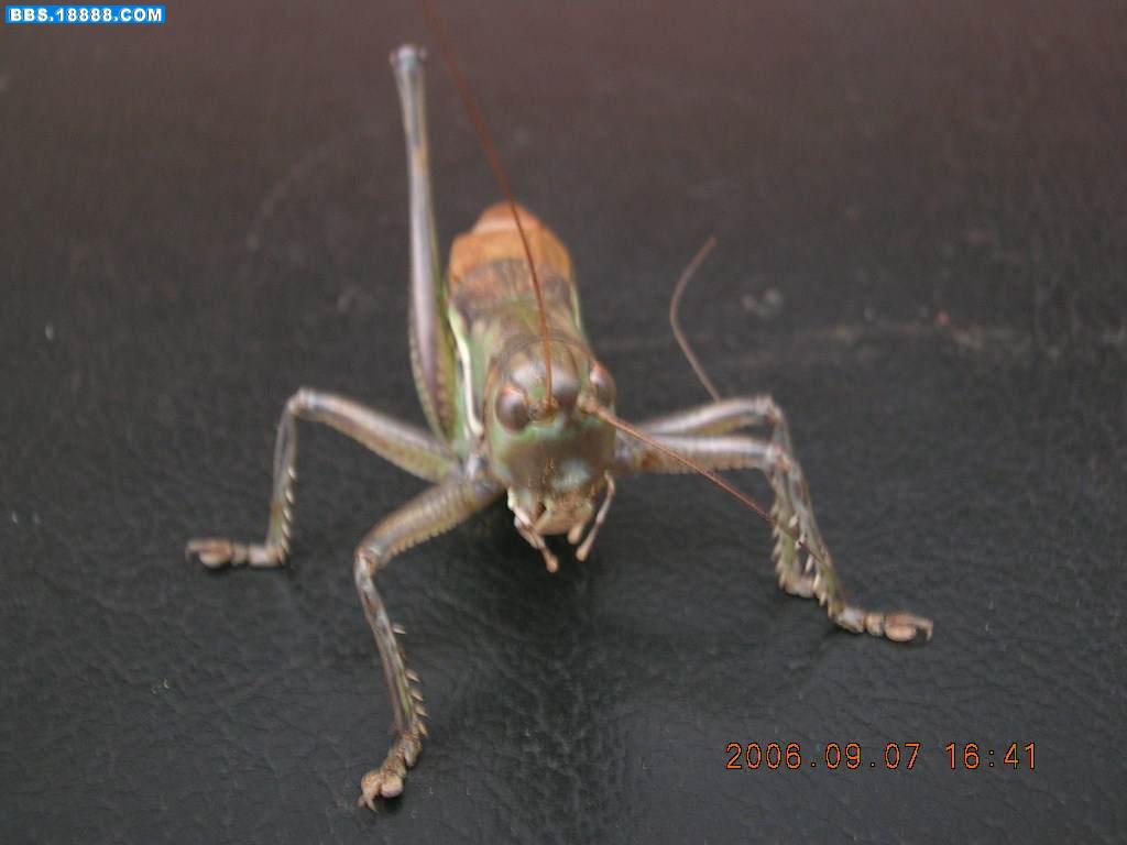 DSCN1010.JPG