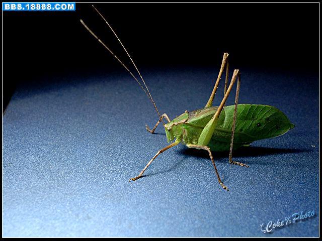 60_40376_406281753b295a3.jpg