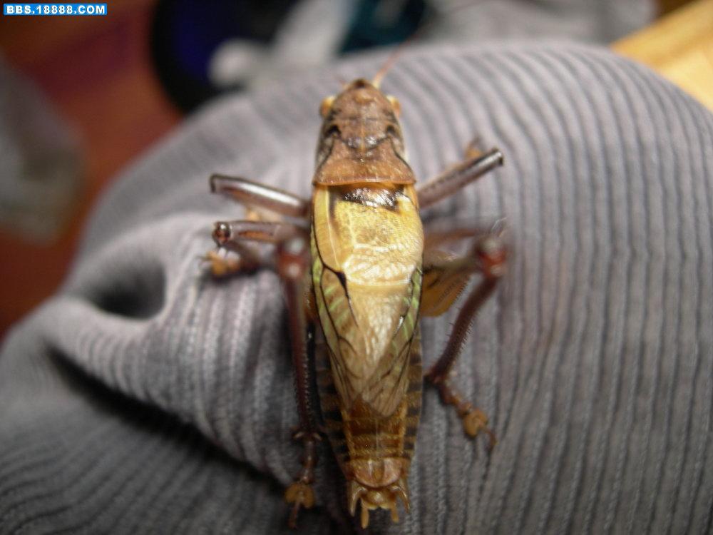 DSCN4170.JPG
