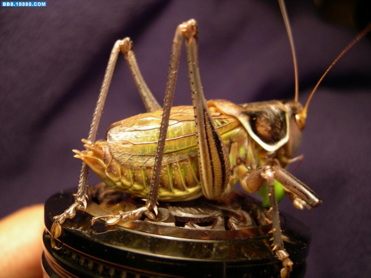 DSCN3922.JPG
