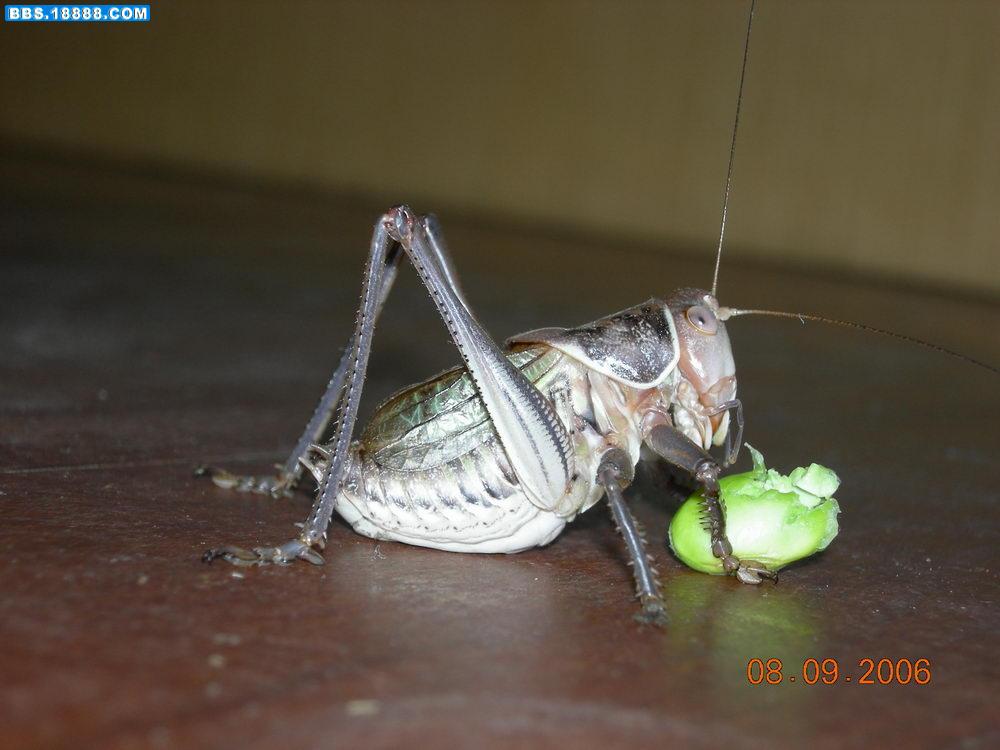 DSCN1022.JPG