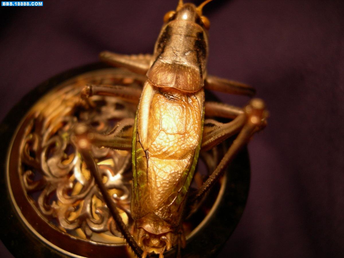 DSCN3920.JPG