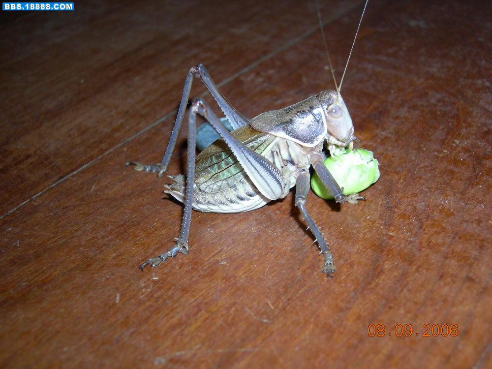 DSCN1027.JPG