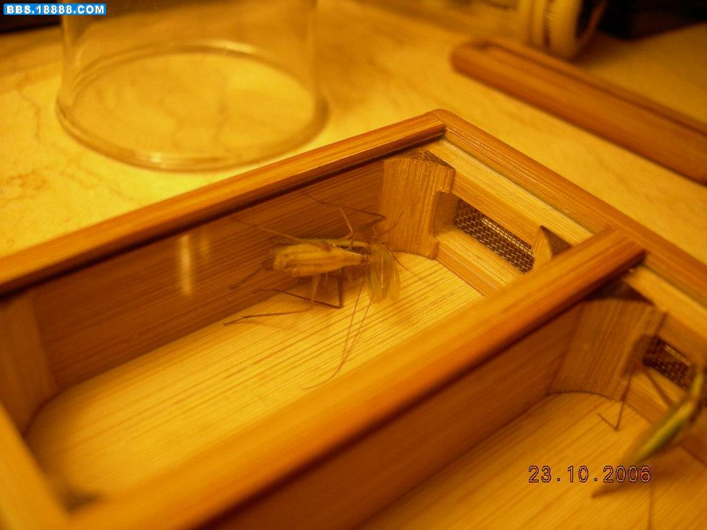 DSCN3714.JPG