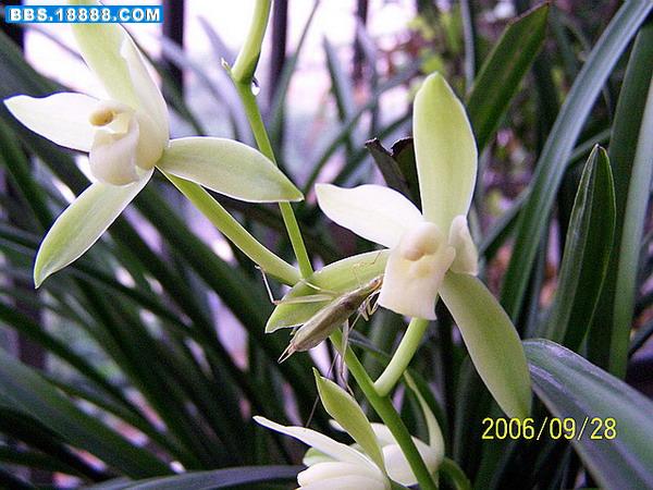 100_0417.jpg