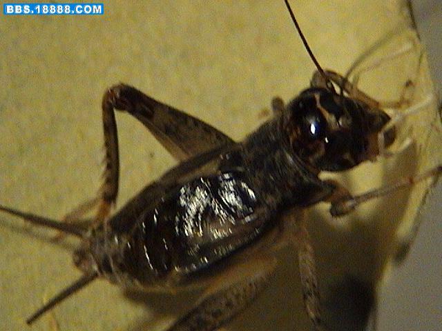 DSC02367.JPG