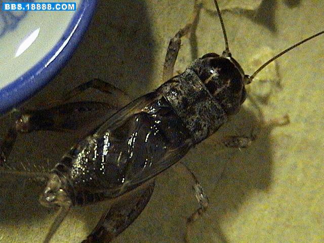 DSC02371.JPG