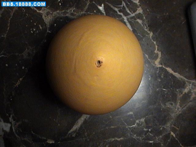 DSC02310.JPG