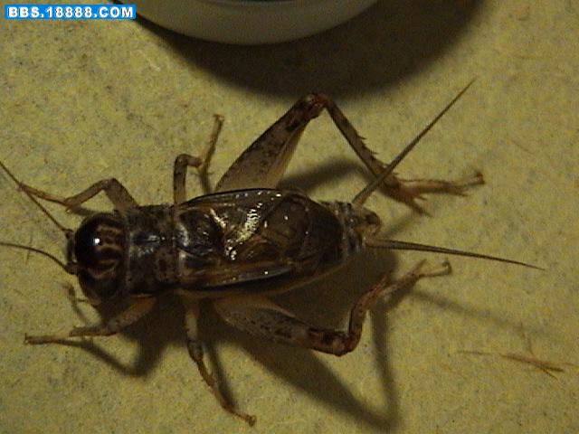 DSC02366.JPG