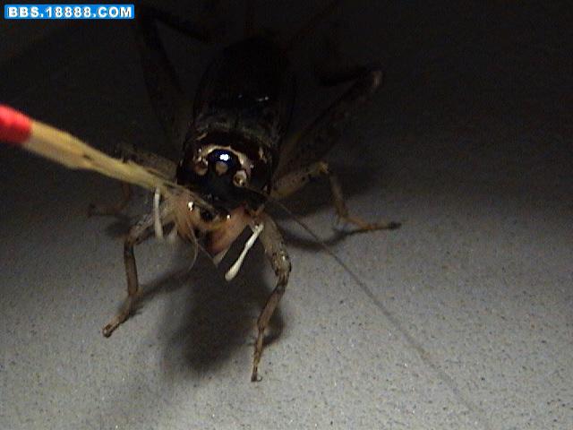DSC02392.JPG