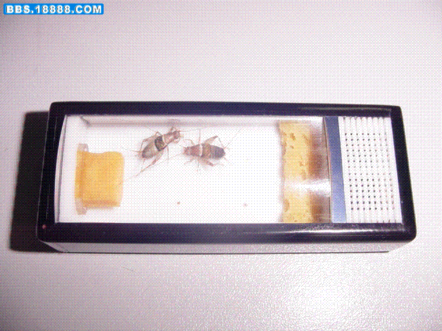 DSC00092.GIF