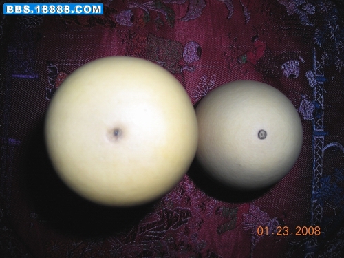 DSCN1017.JPG