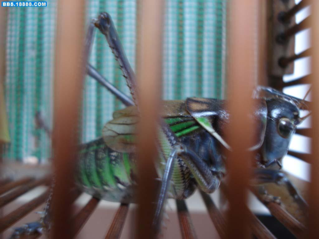 DSC00360.JPG