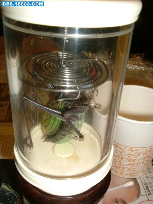 DSCF8756.jpg