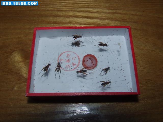 DSCF0192.JPG