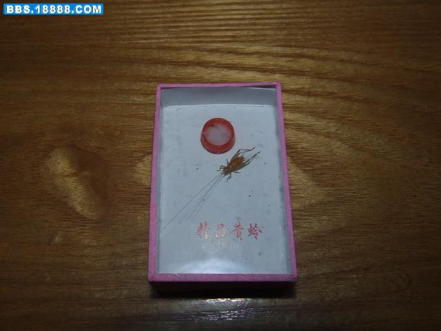 DSCF0194.JPG