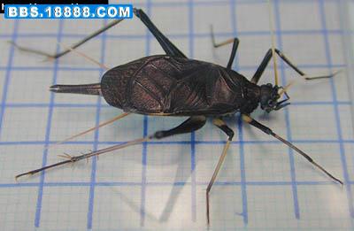 2006291517030[1].jpg