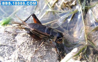 20062221134350[1].jpg