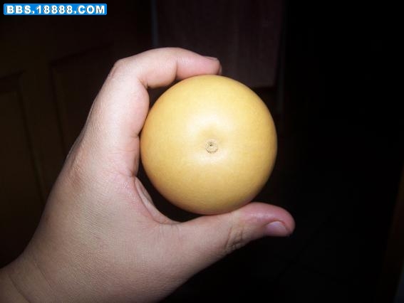 100_3852.JPG